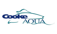 cockea-agua