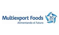 multiexport