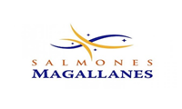 salmones-magallanes